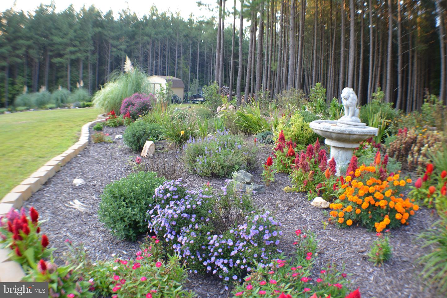 10041 TARRINGTON WAY, SPOTSYLVANIA, Virginia 22551, 5 Bedrooms Bedrooms, ,4 BathroomsBathrooms,Residential,For sale,10041 TARRINGTON WAY,VASP2038296 MLS # VASP2038296