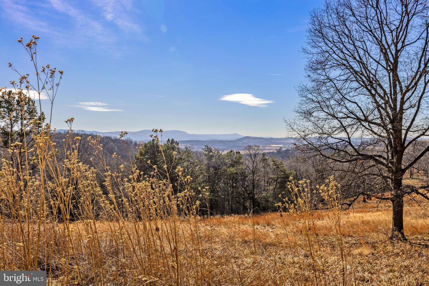 7386 APPLE RIDGE DR, TIMBERVILLE, Virginia 22853, 2 Bedrooms Bedrooms, ,1 BathroomBathrooms,Residential,For sale,7386 APPLE RIDGE DR,VARO2002798 MLS # VARO2002798