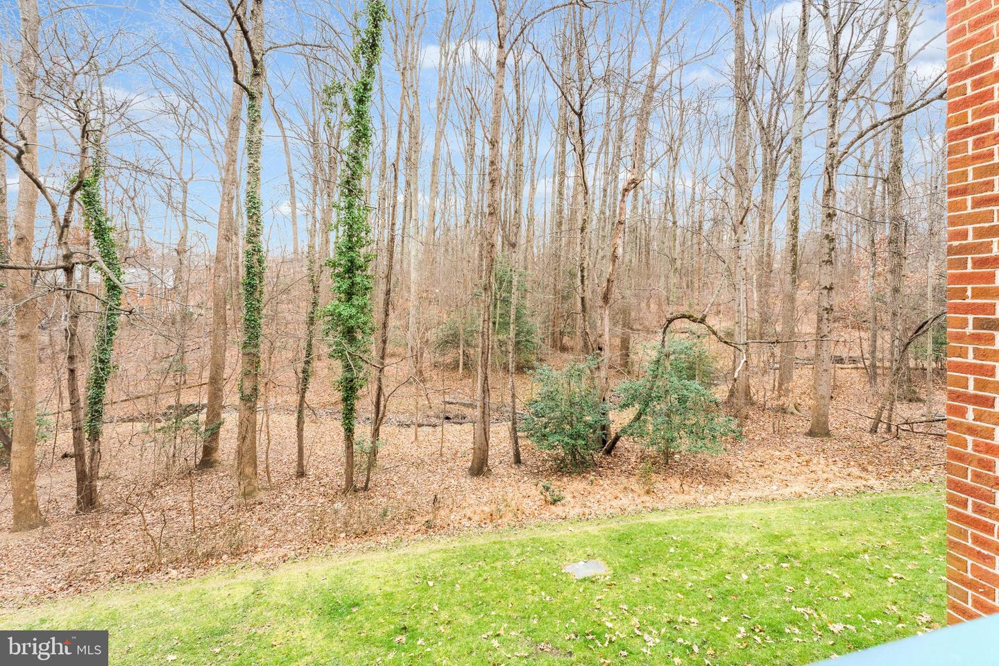 11833 SHIRE CT #11B, RESTON, Virginia 20191, 2 Bedrooms Bedrooms, 6 Rooms Rooms,1 BathroomBathrooms,Residential,For sale,11833 SHIRE CT #11B,VAFX2285986 MLS # VAFX2285986