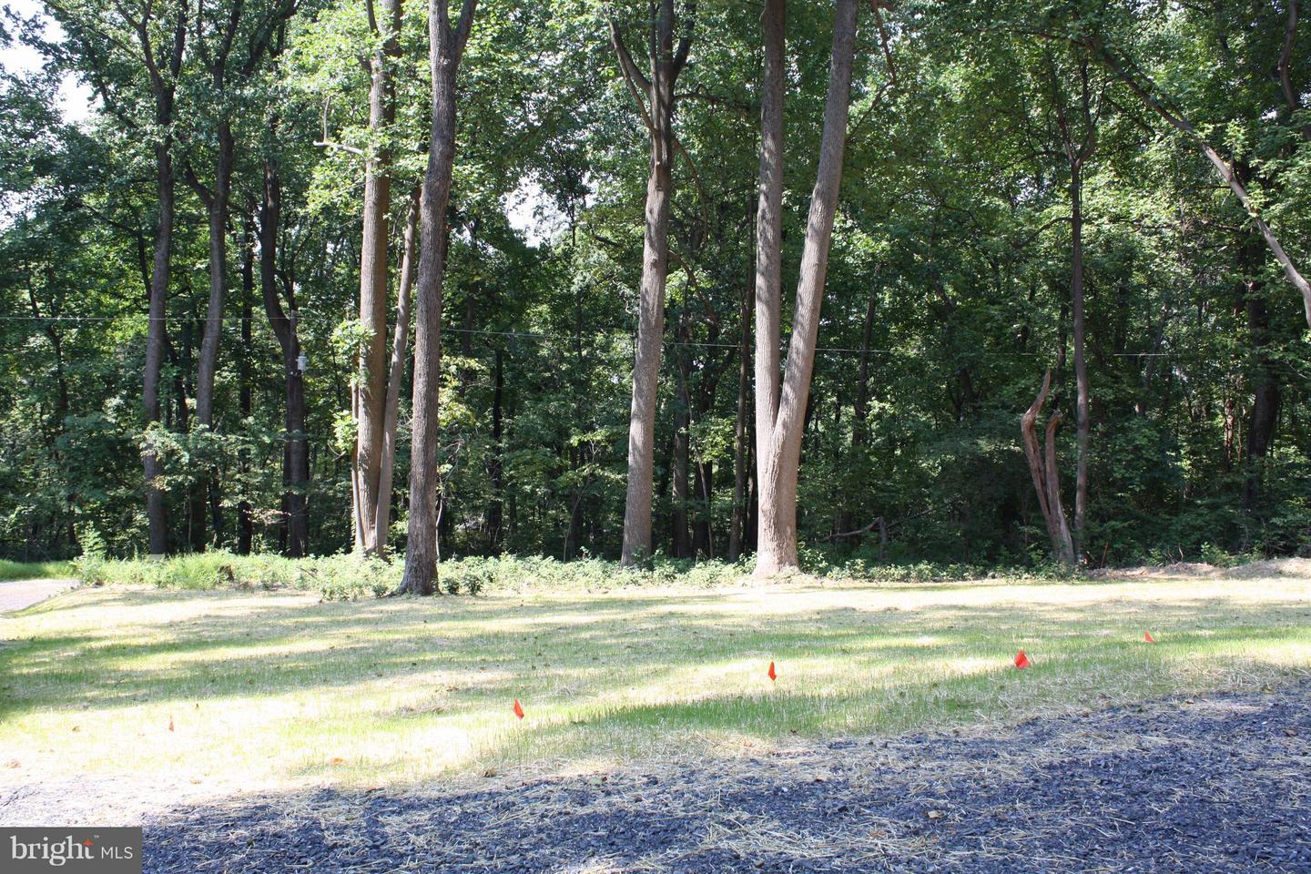 RILEY - LOT 51A CT, FRONT ROYAL, Virginia 22630, 3 Bedrooms Bedrooms, ,1 BathroomBathrooms,Residential,For sale,RILEY - LOT 51A CT,VAWR2013142 MLS # VAWR2013142