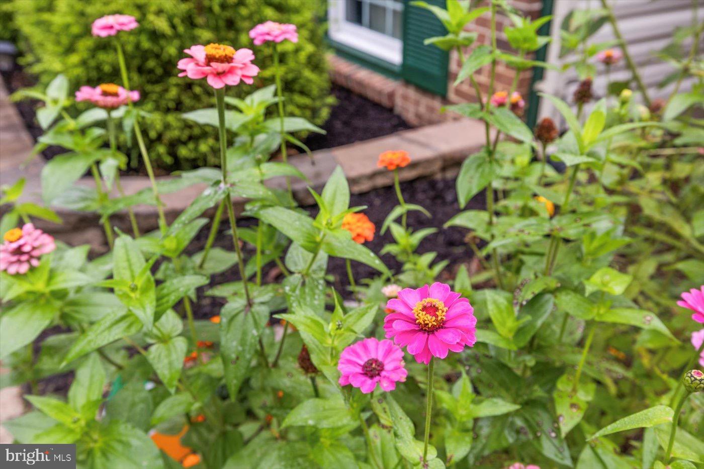 621 HOLLY CORNER RD, FREDERICKSBURG, Virginia 22406, 3 Bedrooms Bedrooms, 5 Rooms Rooms,2 BathroomsBathrooms,Residential,For sale,621 HOLLY CORNER RD,VAST2045316 MLS # VAST2045316