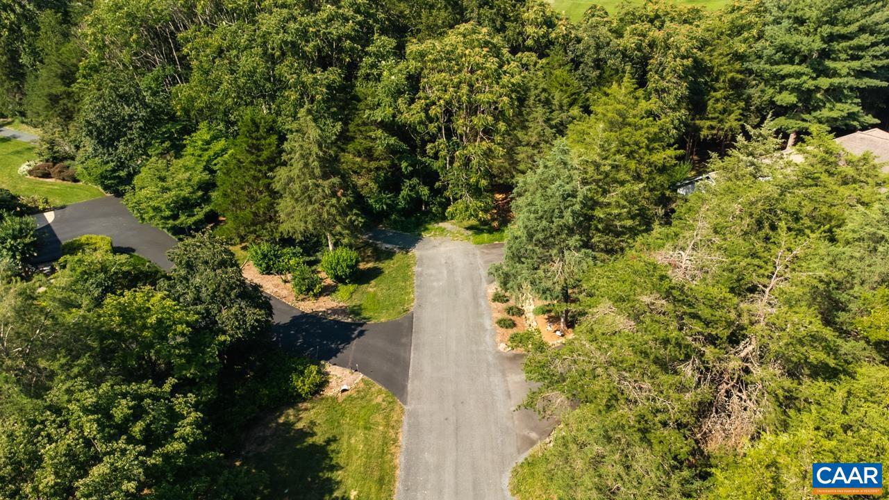 99 BLUE CHICKORY CT #B10, NELLYSFORD, Virginia 22958, ,Land,For sale,99 BLUE CHICKORY CT #B10,664998 MLS # 664998