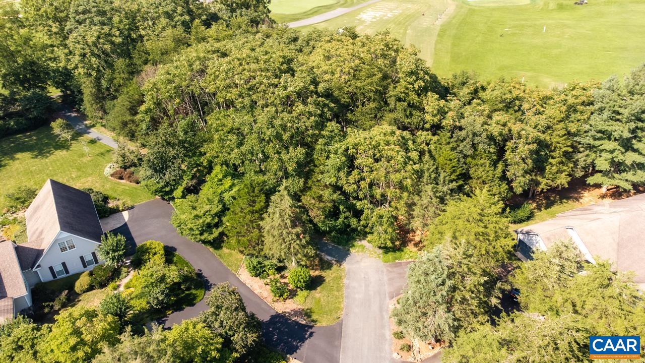 99 BLUE CHICKORY CT #B10, NELLYSFORD, Virginia 22958, ,Land,For sale,99 BLUE CHICKORY CT #B10,664998 MLS # 664998