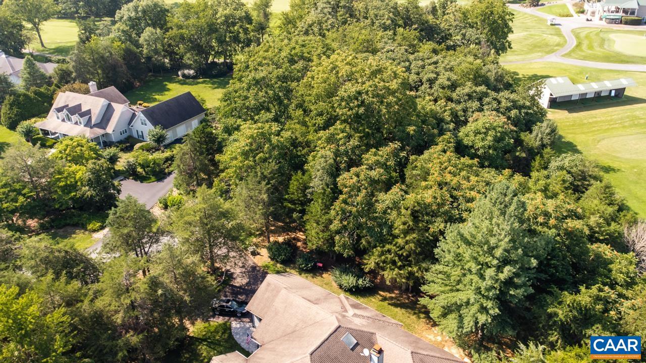 99 BLUE CHICKORY CT #B10, NELLYSFORD, Virginia 22958, ,Land,For sale,99 BLUE CHICKORY CT #B10,664998 MLS # 664998