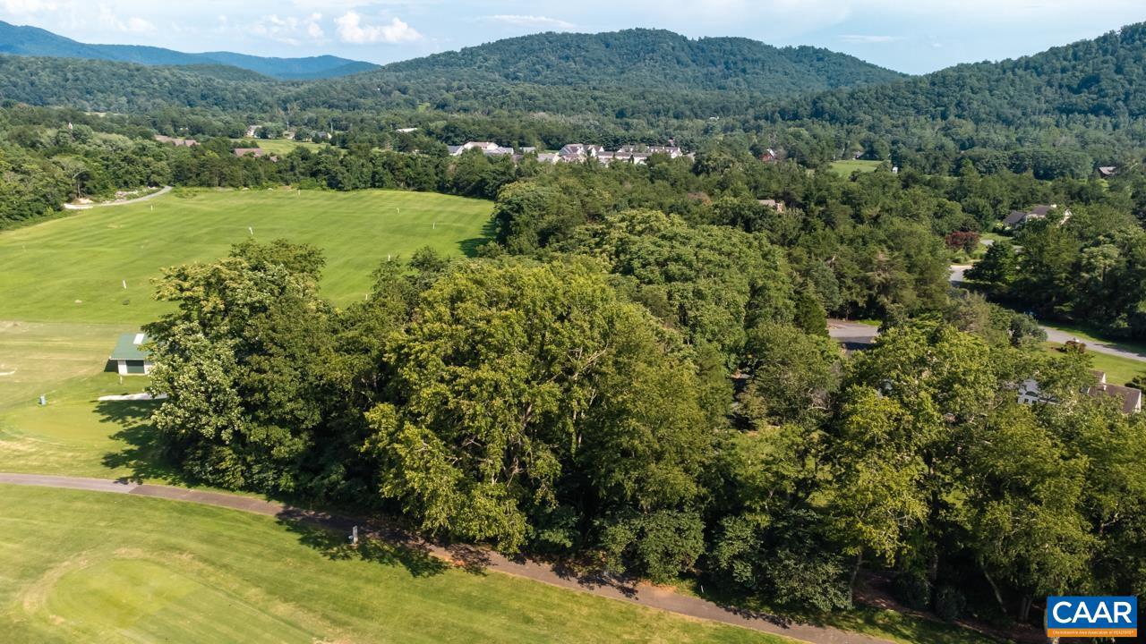 99 BLUE CHICKORY CT #B10, NELLYSFORD, Virginia 22958, ,Land,For sale,99 BLUE CHICKORY CT #B10,664998 MLS # 664998