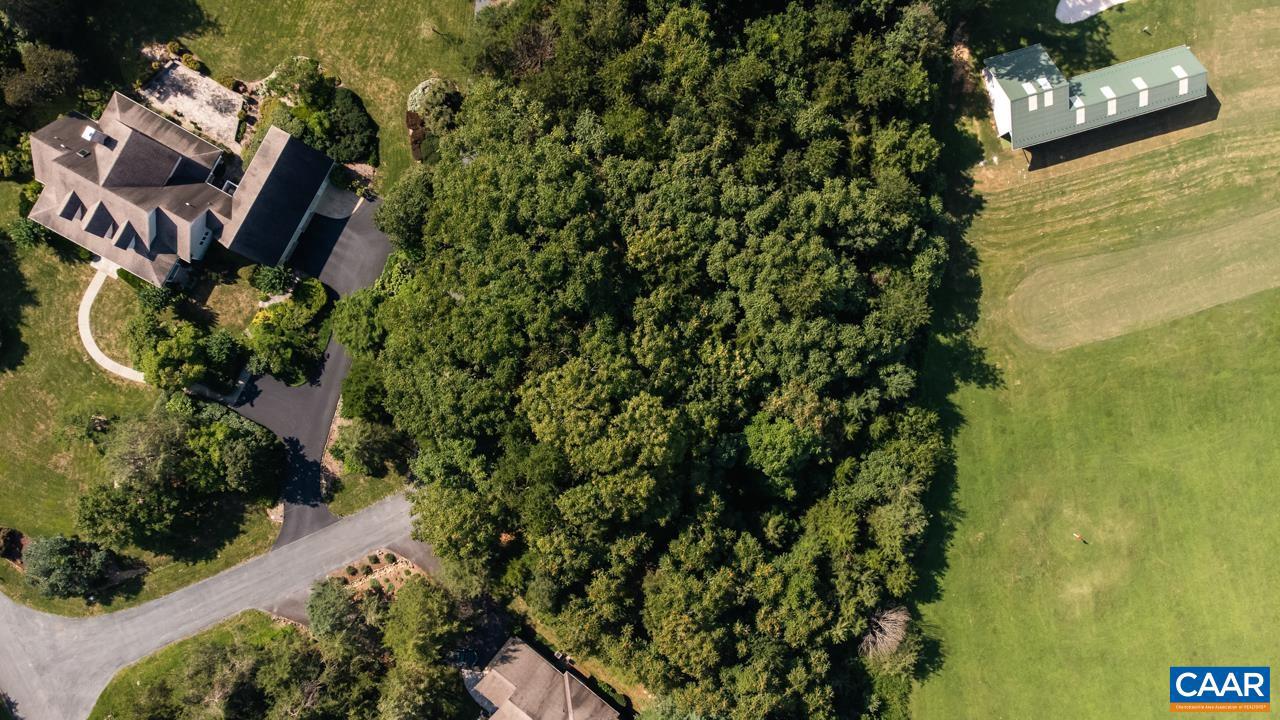 99 BLUE CHICKORY CT #B10, NELLYSFORD, Virginia 22958, ,Land,For sale,99 BLUE CHICKORY CT #B10,664998 MLS # 664998