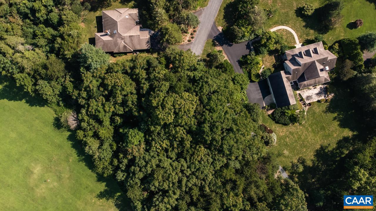 99 BLUE CHICKORY CT #B10, NELLYSFORD, Virginia 22958, ,Land,For sale,99 BLUE CHICKORY CT #B10,664998 MLS # 664998