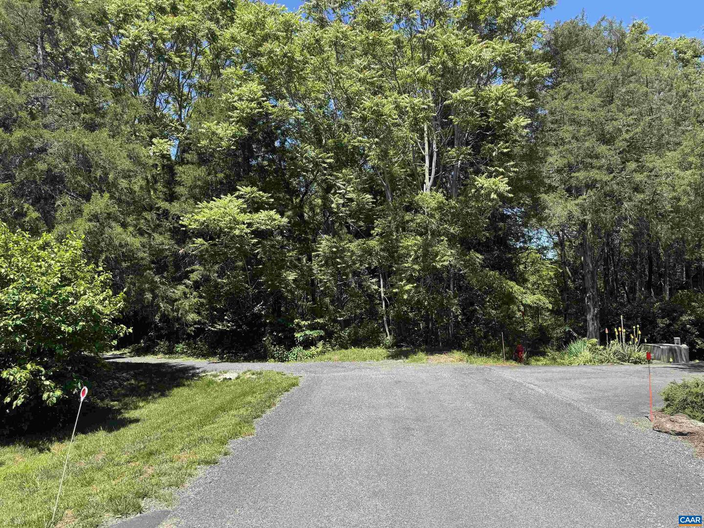 99 BLUE CHICKORY CT #B10, NELLYSFORD, Virginia 22958, ,Land,For sale,99 BLUE CHICKORY CT #B10,664998 MLS # 664998