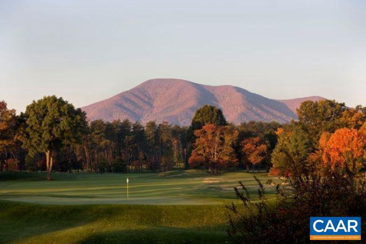 99 BLUE CHICKORY CT #B10, NELLYSFORD, Virginia 22958, ,Land,For sale,99 BLUE CHICKORY CT #B10,664998 MLS # 664998