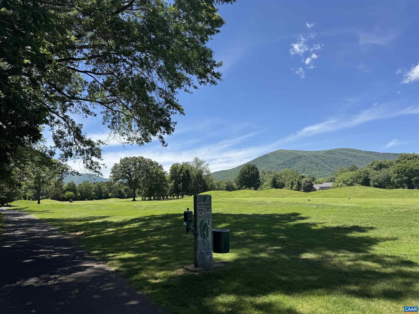 99 BLUE CHICKORY CT #B10, NELLYSFORD, Virginia 22958, ,Land,For sale,99 BLUE CHICKORY CT #B10,664998 MLS # 664998