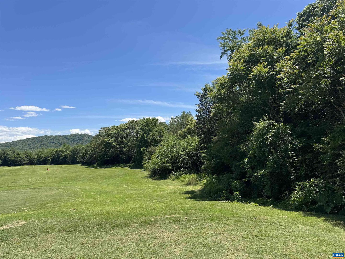 99 BLUE CHICKORY CT #B10, NELLYSFORD, Virginia 22958, ,Land,For sale,99 BLUE CHICKORY CT #B10,664998 MLS # 664998