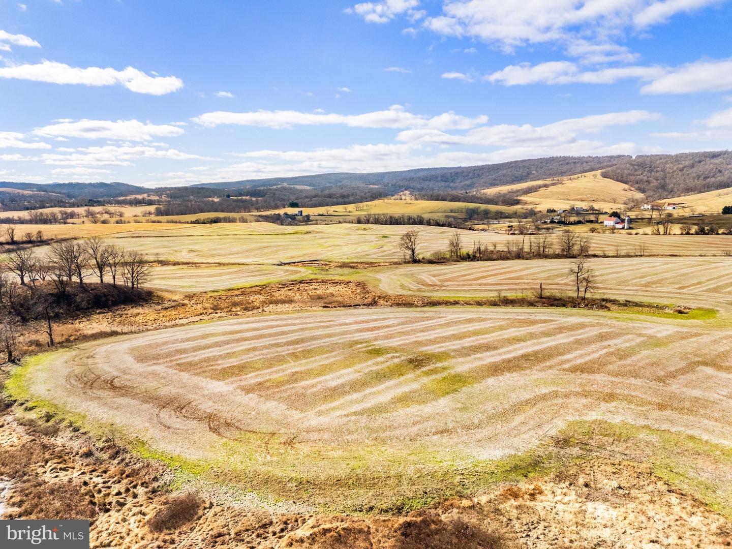 1041 WINCHESTER RD, PARIS, Virginia 20130, ,Farm,For sale,1041 WINCHESTER RD,VAFQ2020142 MLS # VAFQ2020142