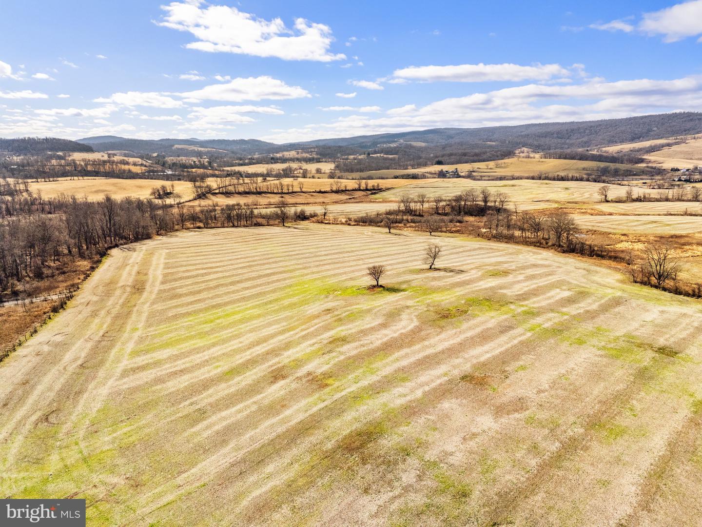 1041 WINCHESTER RD, PARIS, Virginia 20130, ,Farm,For sale,1041 WINCHESTER RD,VAFQ2020142 MLS # VAFQ2020142