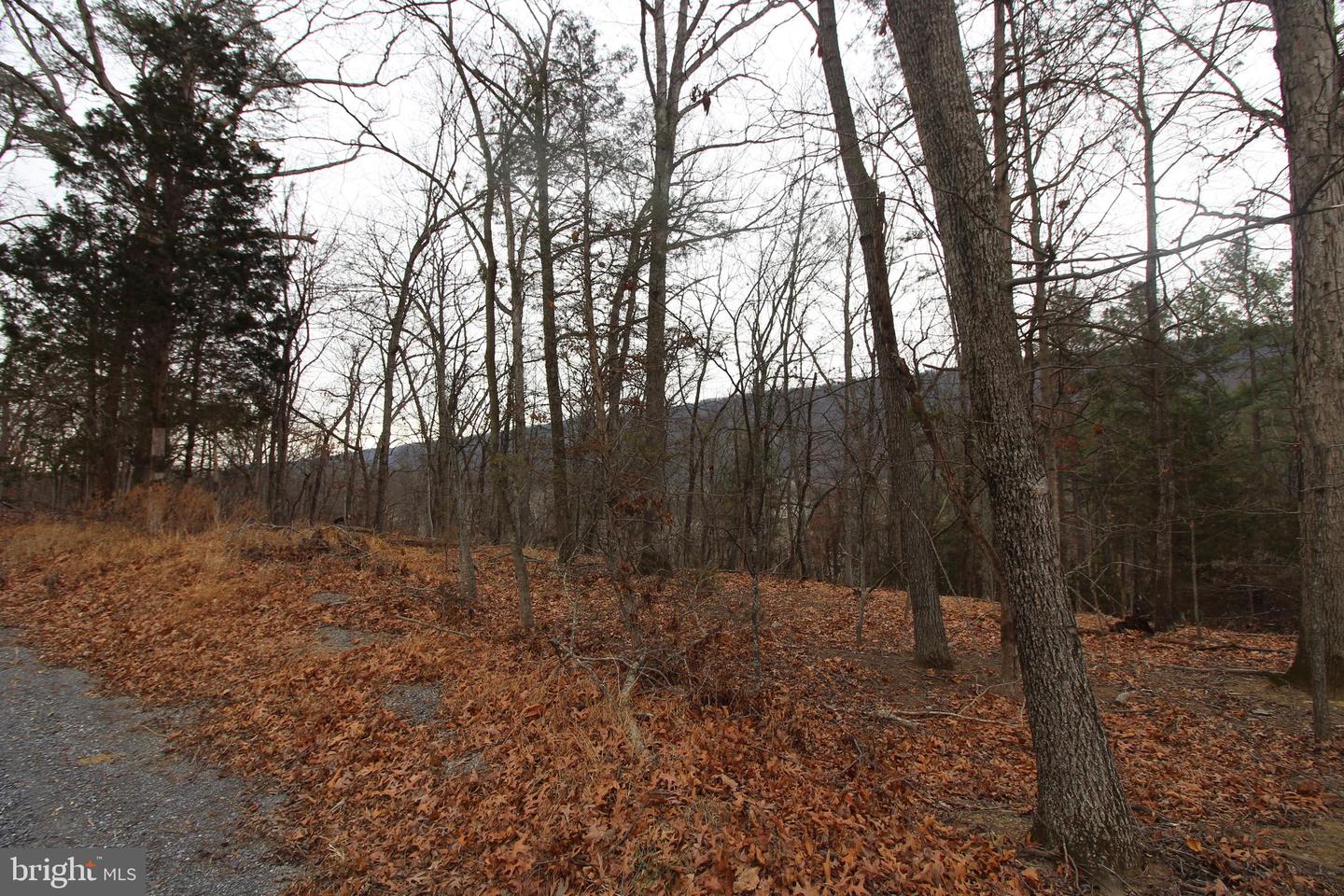 362 RIVERVIEW DR, MAURERTOWN, Virginia 22644, ,Land,For sale,362 RIVERVIEW DR,VASH2013384 MLS # VASH2013384