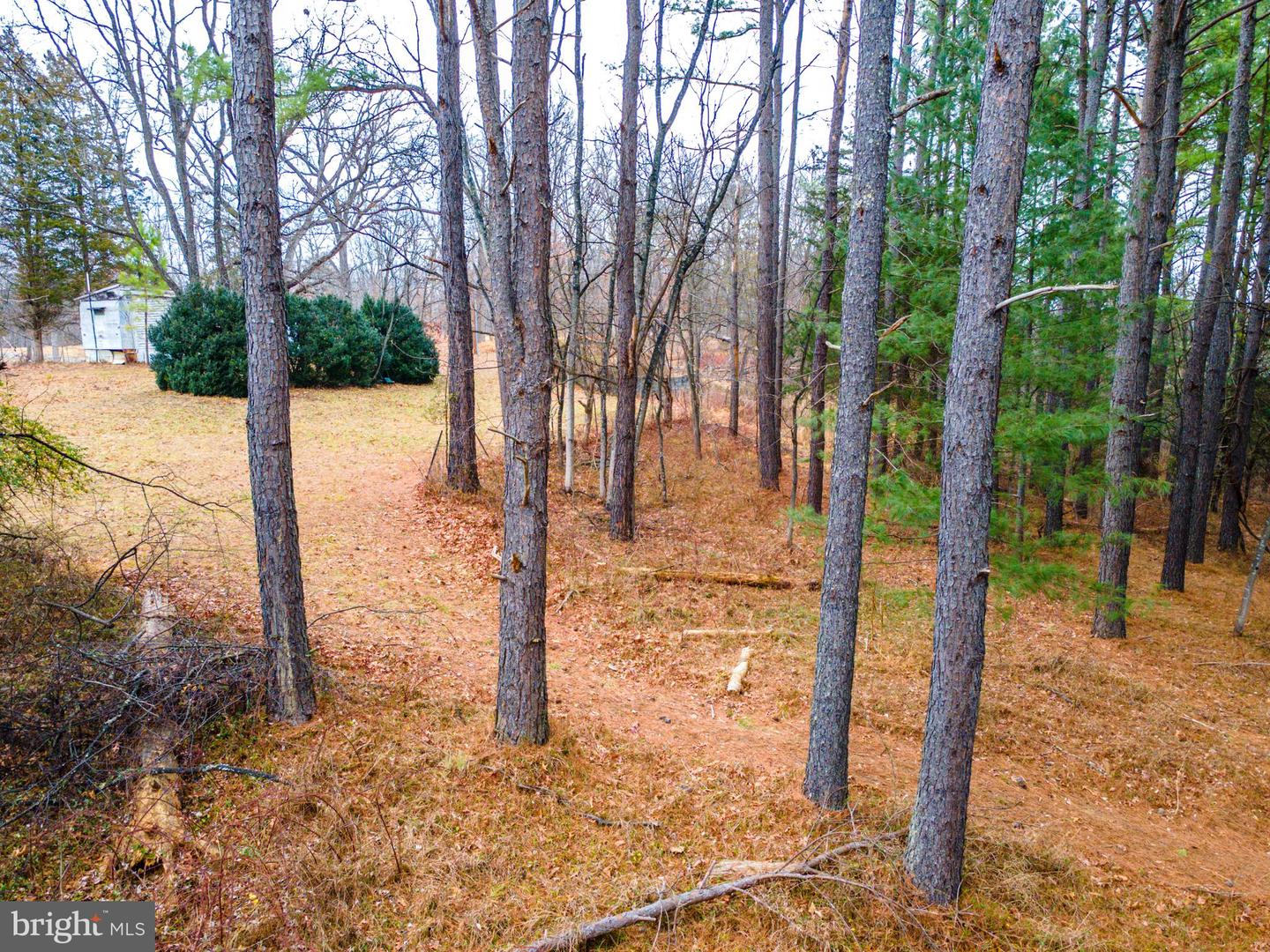 362 RIVERVIEW DR, MAURERTOWN, Virginia 22644, ,Land,For sale,362 RIVERVIEW DR,VASH2013384 MLS # VASH2013384