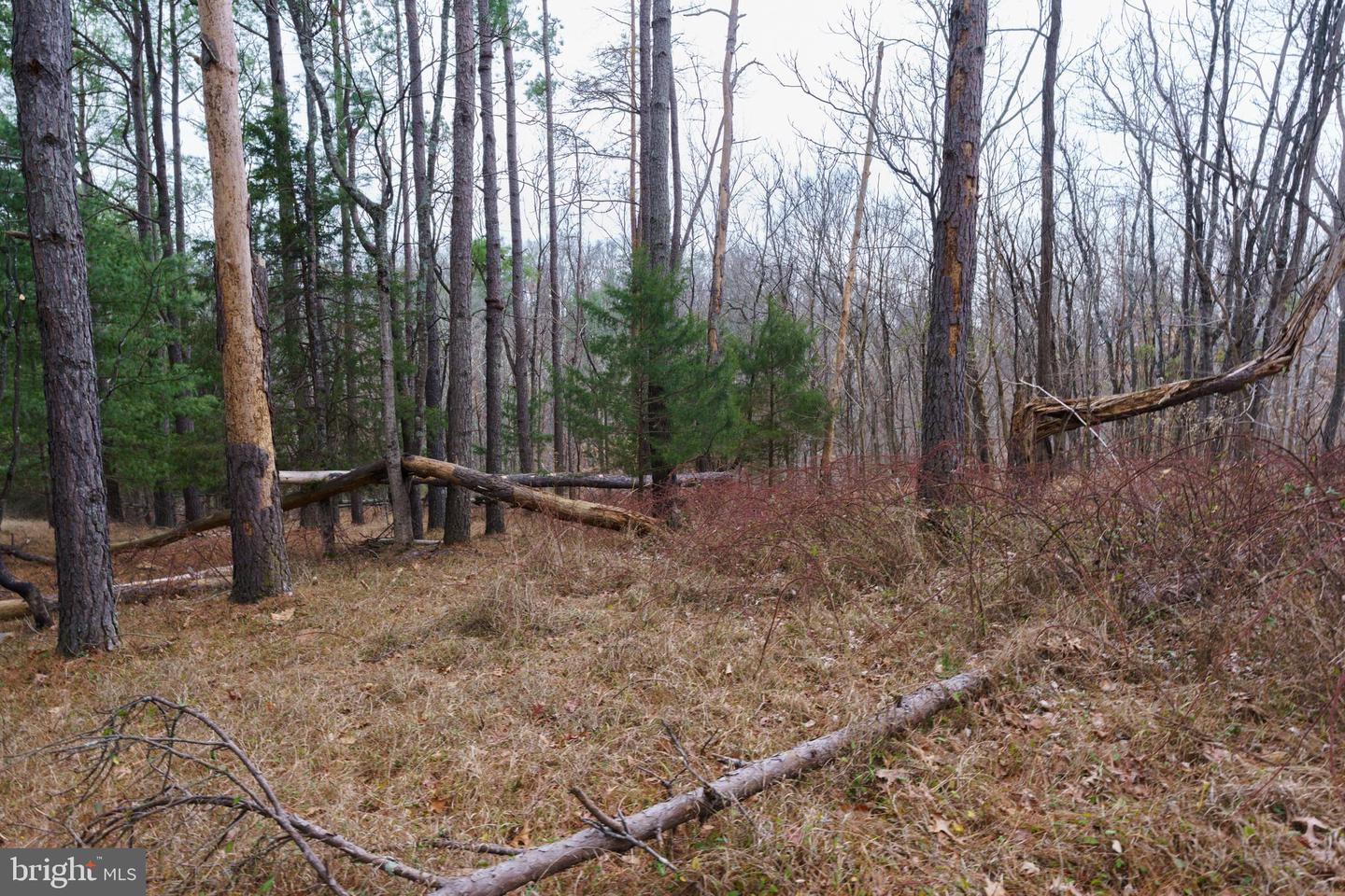 362 RIVERVIEW DR, MAURERTOWN, Virginia 22644, ,Land,For sale,362 RIVERVIEW DR,VASH2013384 MLS # VASH2013384