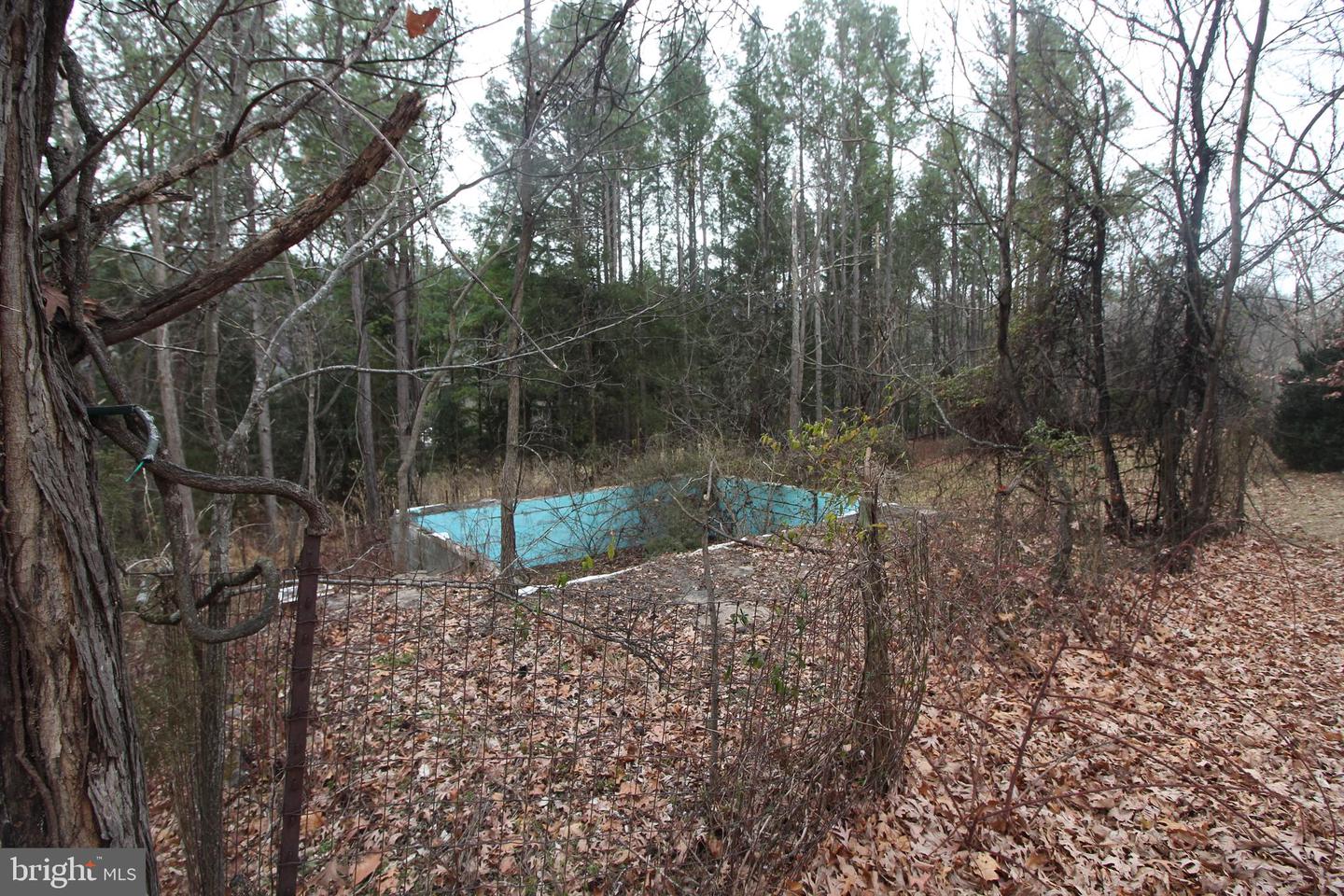 362 RIVERVIEW DR, MAURERTOWN, Virginia 22644, ,Land,For sale,362 RIVERVIEW DR,VASH2013384 MLS # VASH2013384