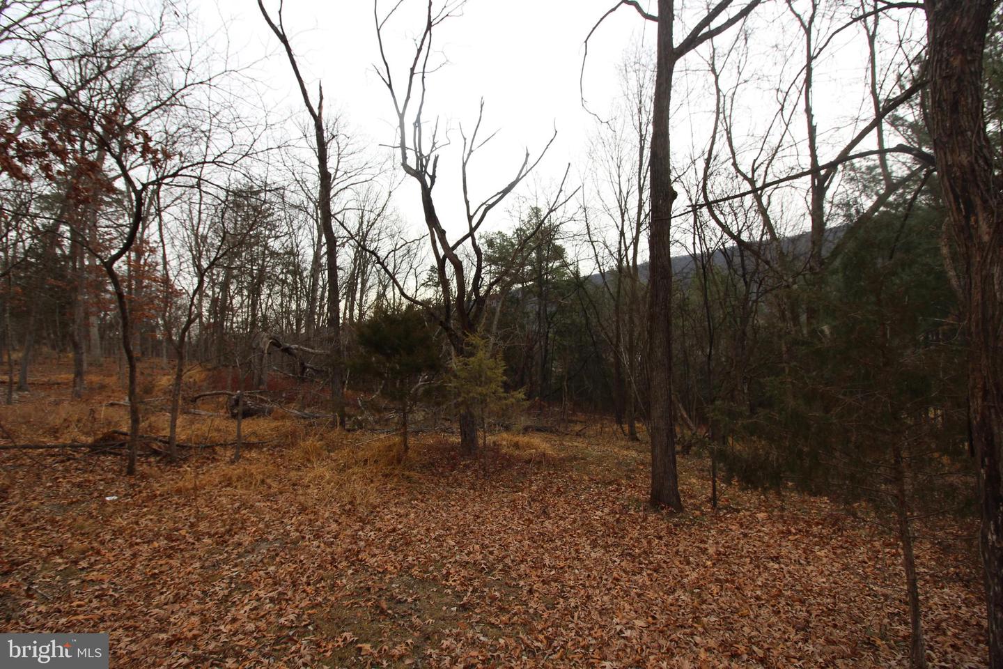 362 RIVERVIEW DR, MAURERTOWN, Virginia 22644, ,Land,For sale,362 RIVERVIEW DR,VASH2013384 MLS # VASH2013384