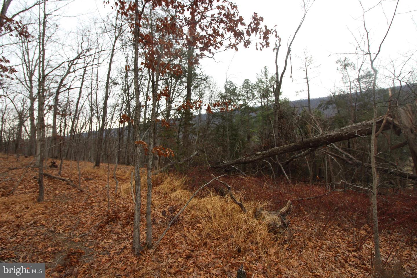 362 RIVERVIEW DR, MAURERTOWN, Virginia 22644, ,Land,For sale,362 RIVERVIEW DR,VASH2013384 MLS # VASH2013384