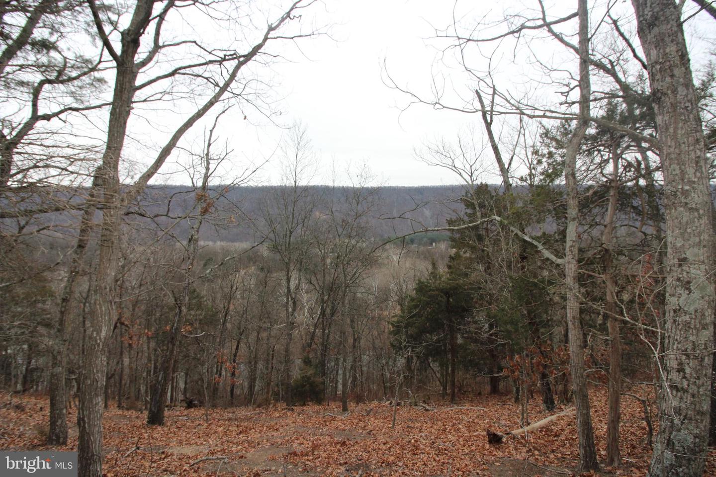 BESIDE 362 RIVERVIEW DRIVE, MAURERTOWN, Virginia 22644, ,Land,For sale,BESIDE 362 RIVERVIEW DRIVE,VASH2013386 MLS # VASH2013386