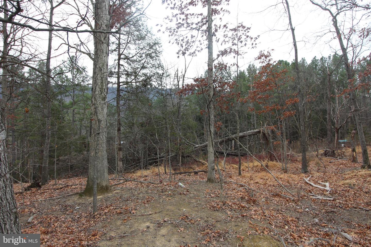 BESIDE 362 RIVERVIEW DRIVE, MAURERTOWN, Virginia 22644, ,Land,For sale,BESIDE 362 RIVERVIEW DRIVE,VASH2013386 MLS # VASH2013386