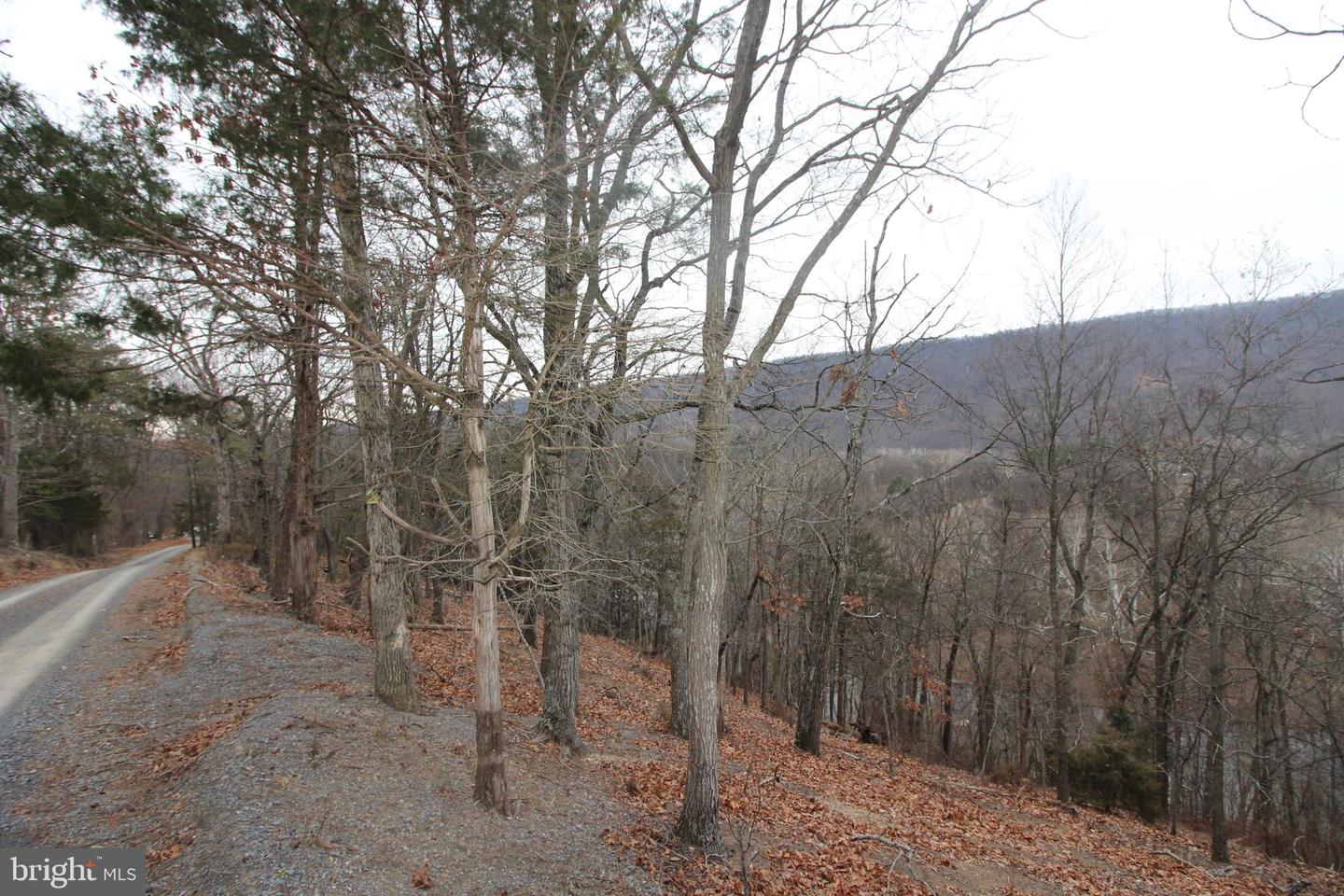 BESIDE 362 RIVERVIEW DRIVE, MAURERTOWN, Virginia 22644, ,Land,For sale,BESIDE 362 RIVERVIEW DRIVE,VASH2013386 MLS # VASH2013386