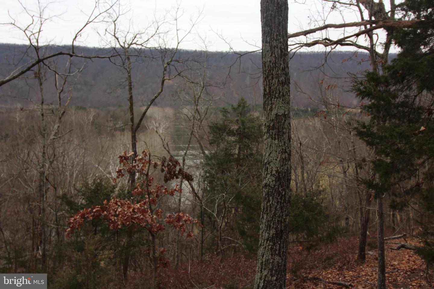 BESIDE 362 RIVERVIEW DRIVE, MAURERTOWN, Virginia 22644, ,Land,For sale,BESIDE 362 RIVERVIEW DRIVE,VASH2013386 MLS # VASH2013386