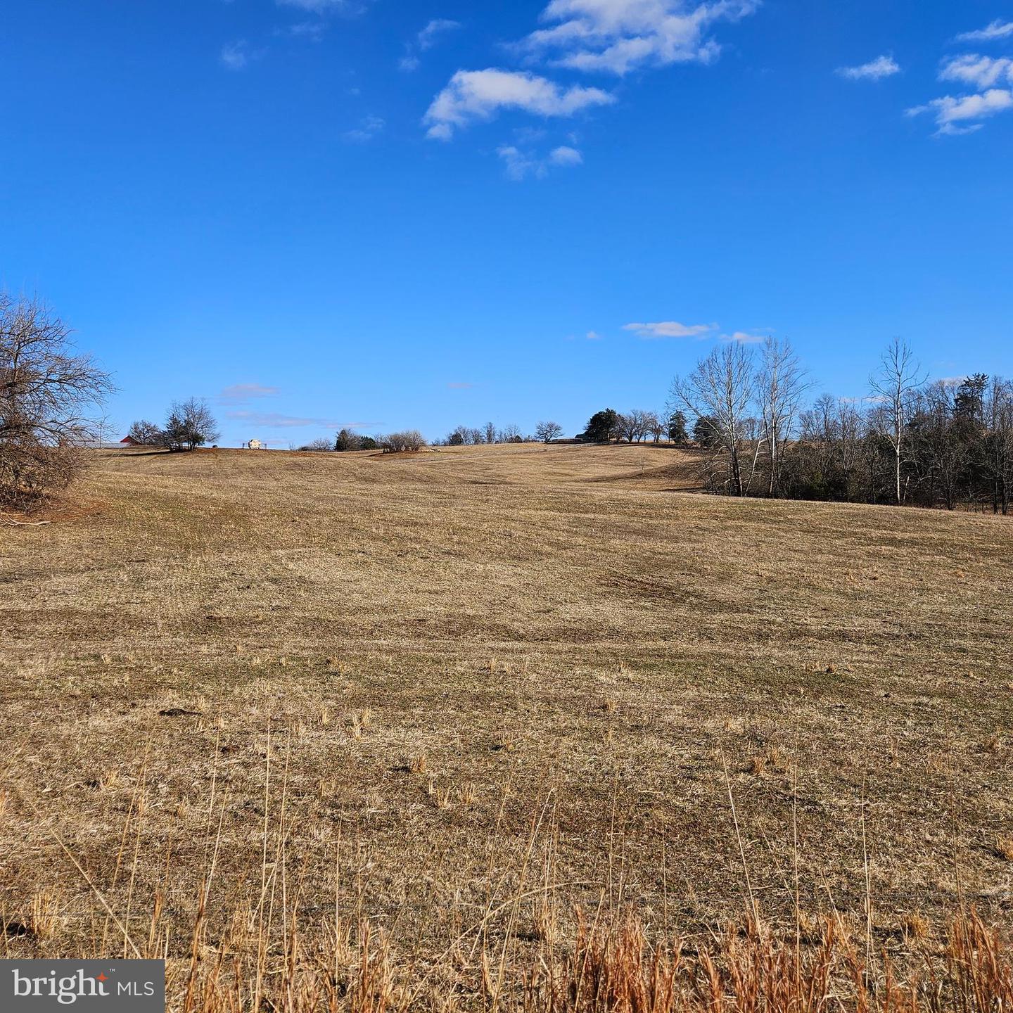 0 PRIVATE LANE, RIXEYVILLE, Virginia 22737, ,Land,For sale,0 PRIVATE LANE,VACU2012448 MLS # VACU2012448