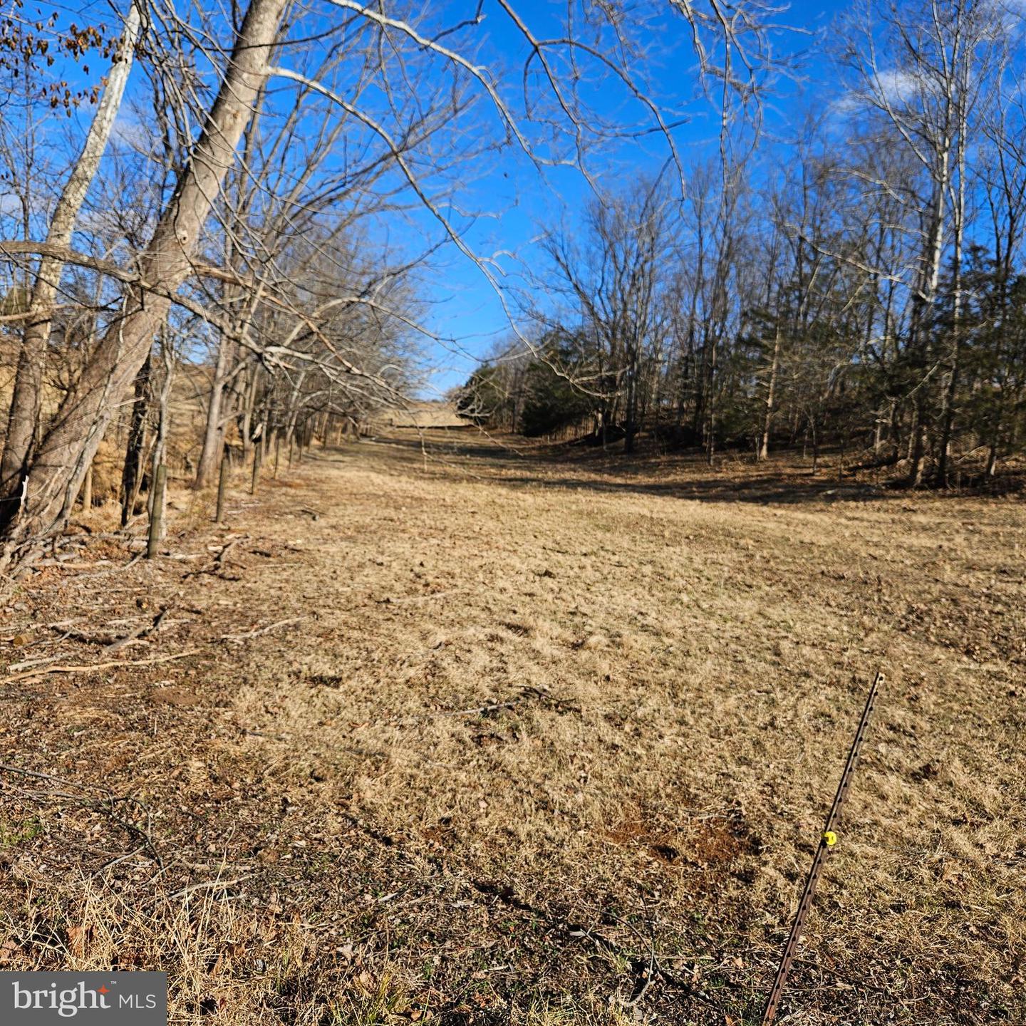 0 PRIVATE LANE, RIXEYVILLE, Virginia 22737, ,Land,For sale,0 PRIVATE LANE,VACU2012448 MLS # VACU2012448