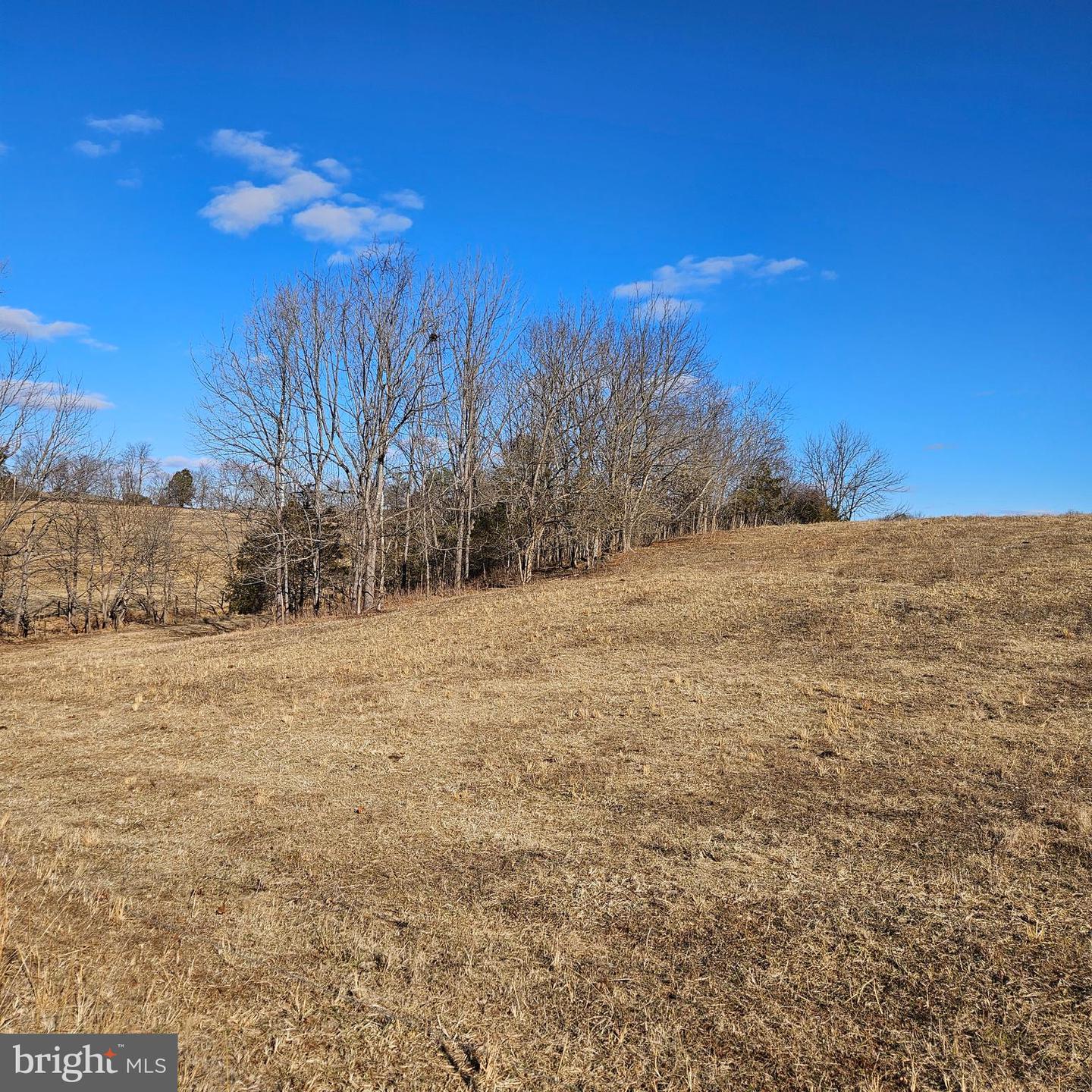 0 PRIVATE LANE, RIXEYVILLE, Virginia 22737, ,Land,For sale,0 PRIVATE LANE,VACU2012448 MLS # VACU2012448