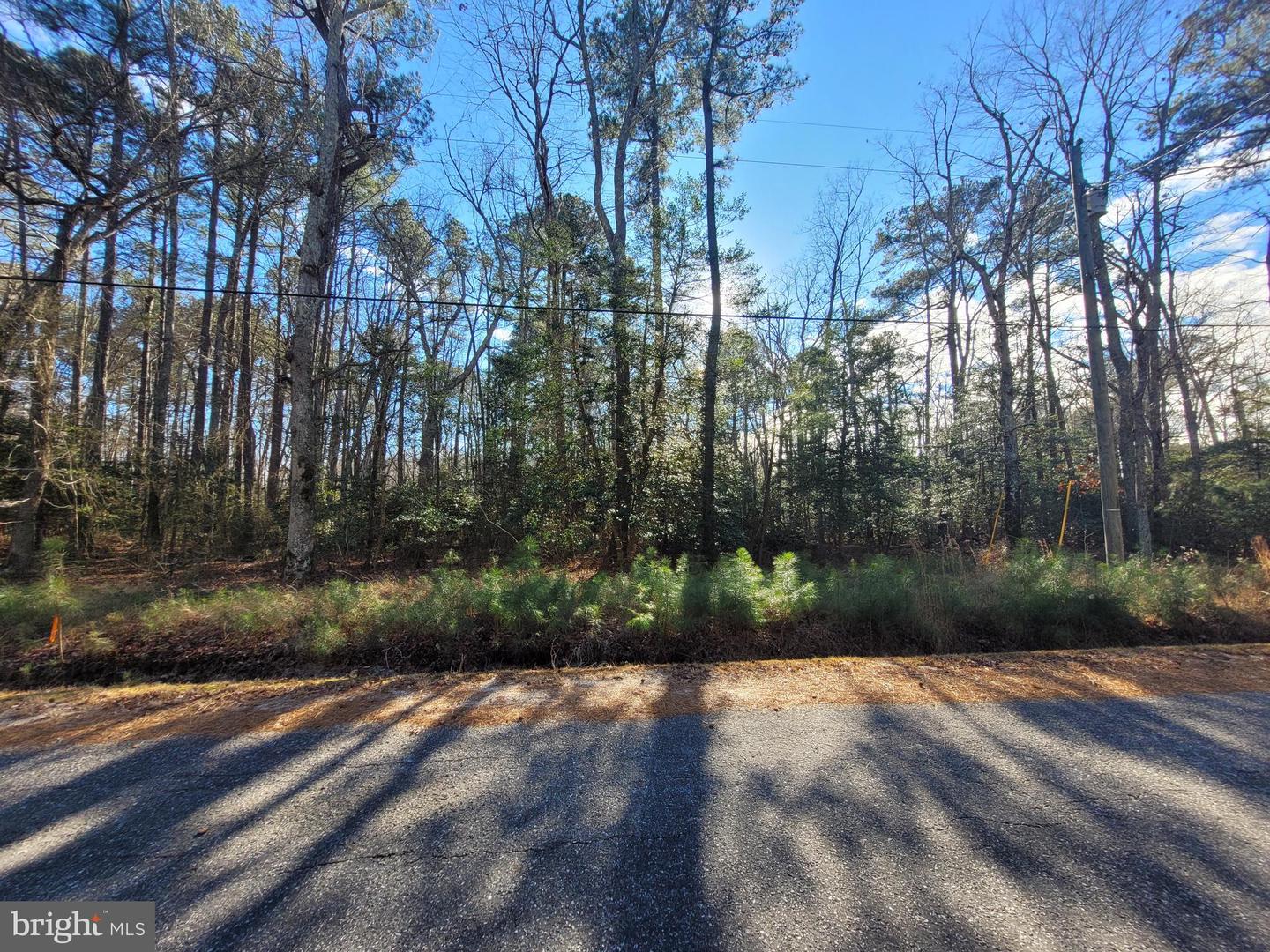 00-LOT 82 ELMINGTON PLACE, HEATHSVILLE, Virginia 22473, ,Land,For sale,00-LOT 82 ELMINGTON PLACE,VANV2001866 MLS # VANV2001866