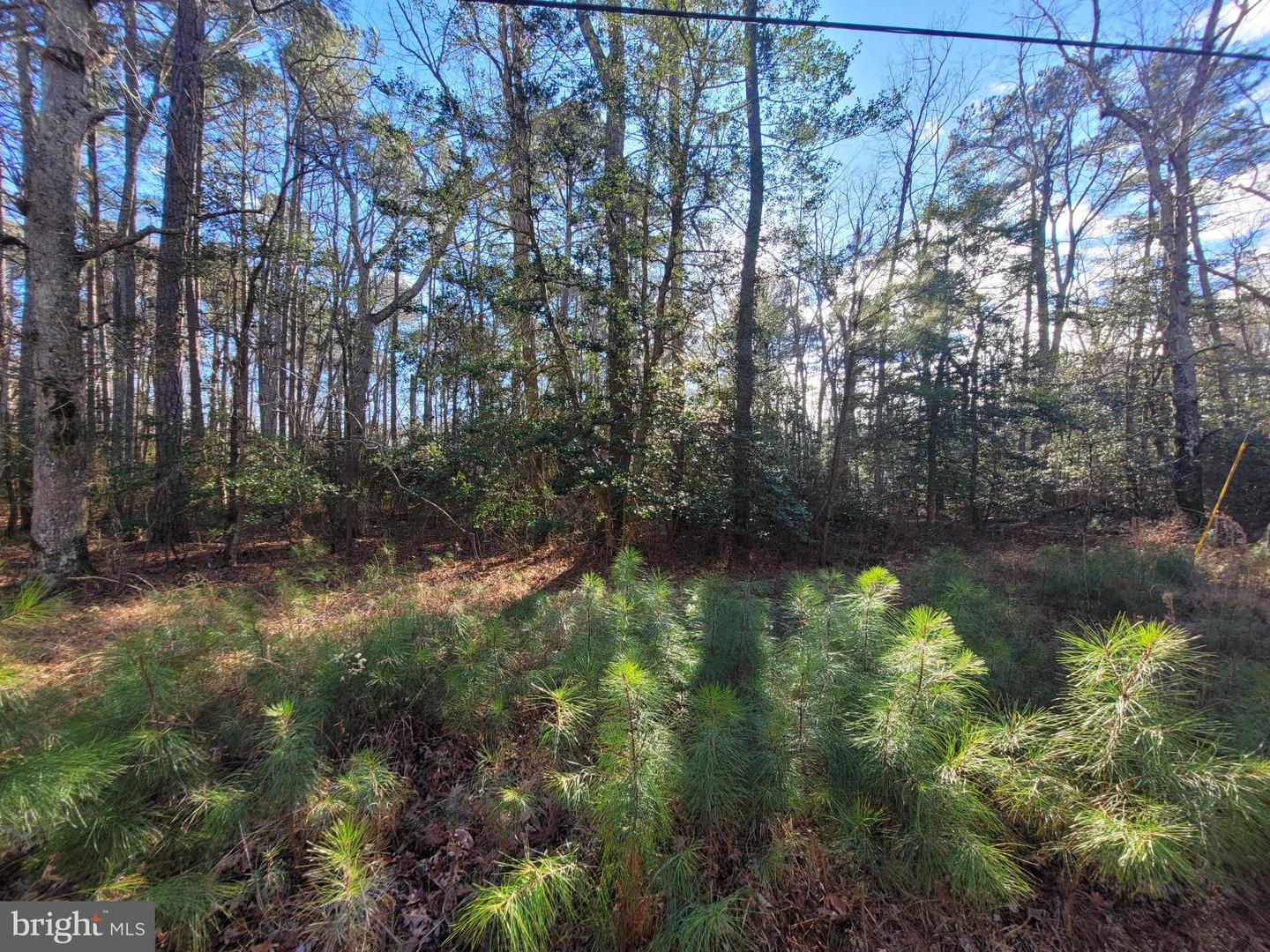 00-LOT 82 ELMINGTON PLACE, HEATHSVILLE, Virginia 22473, ,Land,For sale,00-LOT 82 ELMINGTON PLACE,VANV2001866 MLS # VANV2001866