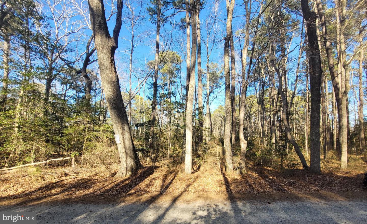 00-LOT 82 ELMINGTON PLACE, HEATHSVILLE, Virginia 22473, ,Land,For sale,00-LOT 82 ELMINGTON PLACE,VANV2001866 MLS # VANV2001866
