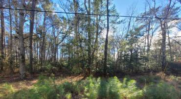 00-LOT 82 ELMINGTON PLACE, HEATHSVILLE, Virginia 22473, ,Land,For sale,00-LOT 82 ELMINGTON PLACE,VANV2001866 MLS # VANV2001866