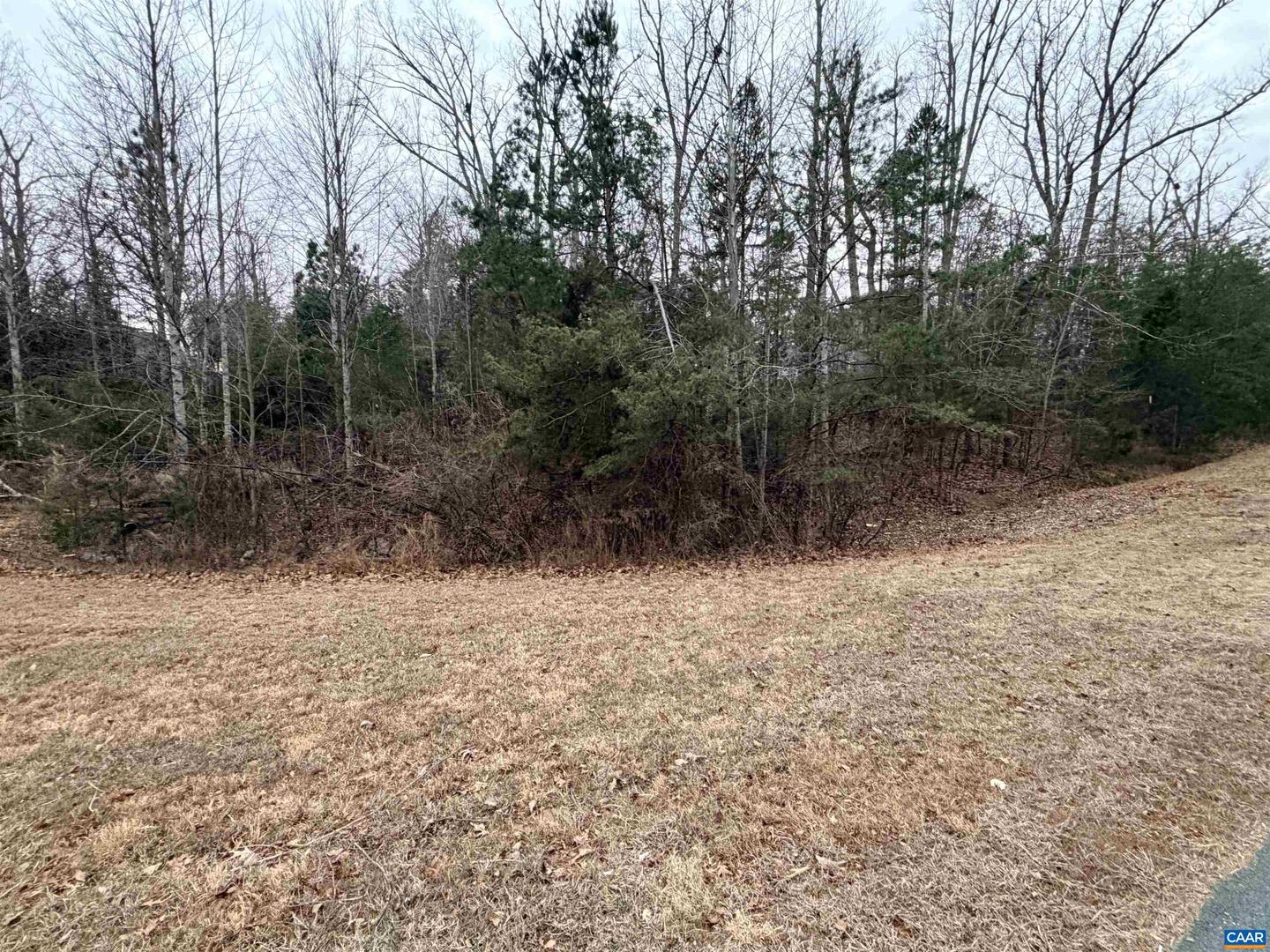 2 GOODMAN LN, PALMYRA, Virginia 22963, ,Land,For sale,2 GOODMAN LN,672562 MLS # 672562