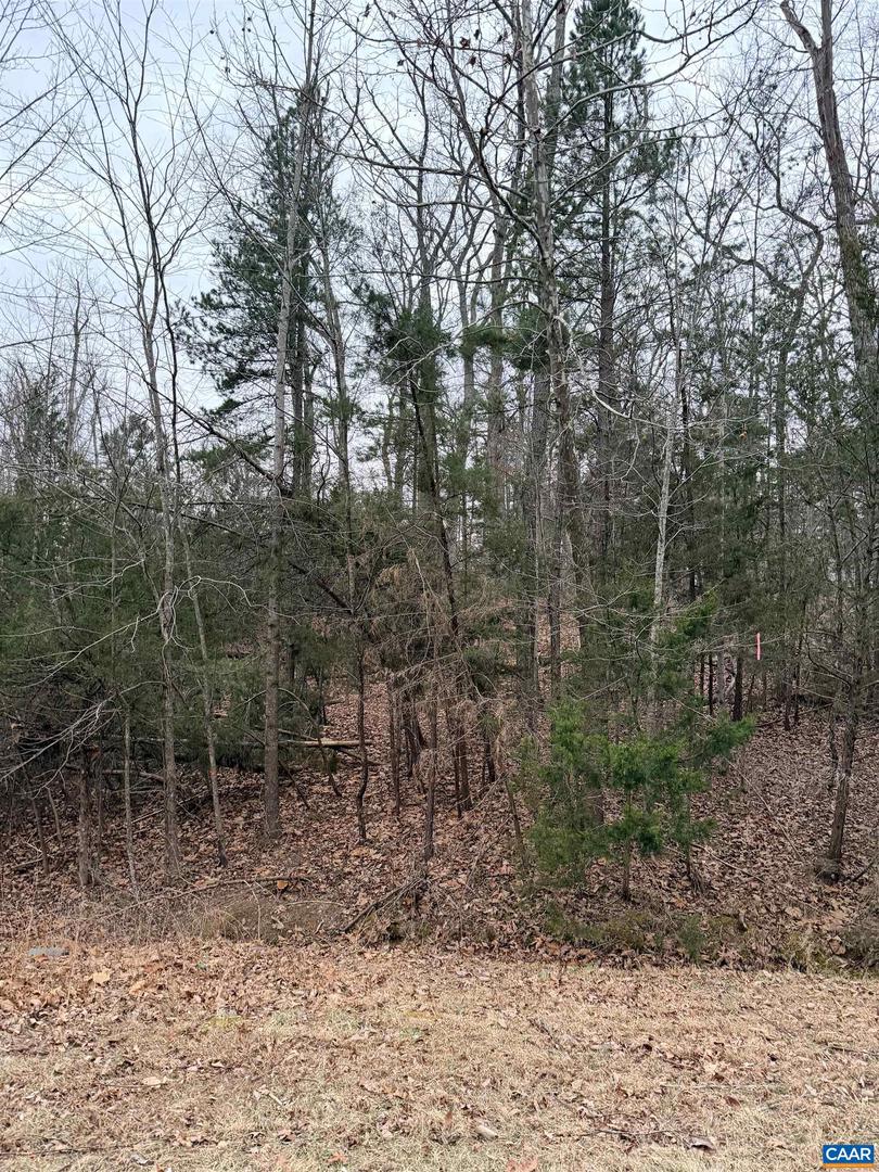 2 GOODMAN LN, PALMYRA, Virginia 22963, ,Land,For sale,2 GOODMAN LN,672562 MLS # 672562