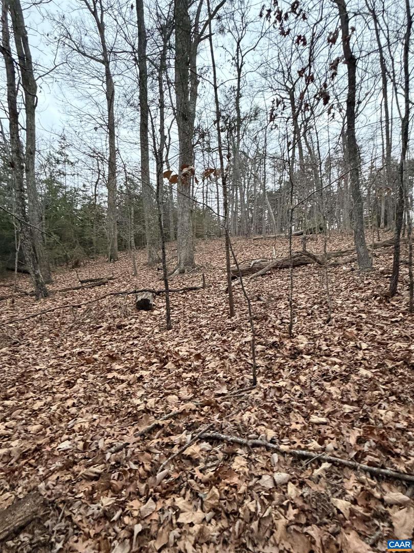 2 GOODMAN LN, PALMYRA, Virginia 22963, ,Land,For sale,2 GOODMAN LN,672562 MLS # 672562