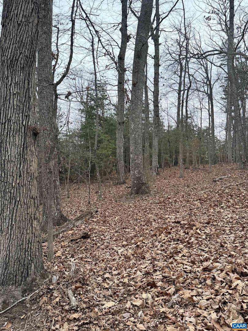 2 GOODMAN LN, PALMYRA, Virginia 22963, ,Land,For sale,2 GOODMAN LN,672562 MLS # 672562