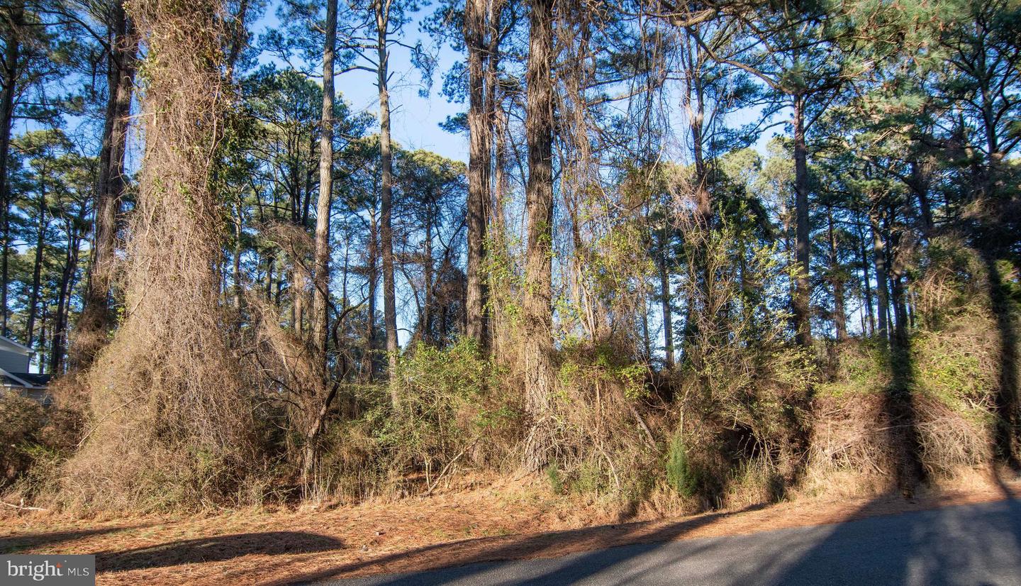 LOT 1098 AMIDSHIP DR, GREENBACKVILLE, Virginia 23356, ,Land,For sale,LOT 1098 AMIDSHIP DR,VAAC2002536 MLS # VAAC2002536 LOT 1098 AMIDSHIP DR, GREENBACKVILLE, Virginia 23356, ,Land,For sale,LOT 1098 AMIDSHIP DR,VAAC2002536 MLS # VAAC2002536