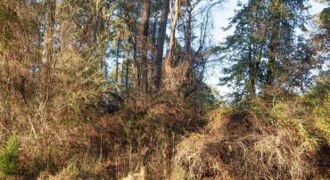 LOT 1098 AMIDSHIP DR, GREENBACKVILLE, Virginia 23356, ,Land,For sale,LOT 1098 AMIDSHIP DR,VAAC2002536 MLS # VAAC2002536