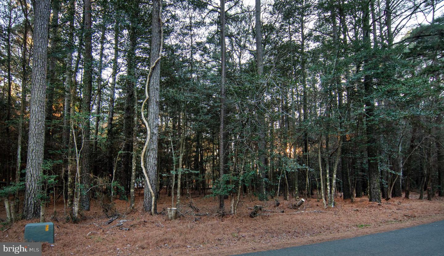 LOT 827 CASTAWAY DR, GREENBACKVILLE, Virginia 23356, ,Land,For sale,LOT 827 CASTAWAY DR,VAAC2002538 MLS # VAAC2002538