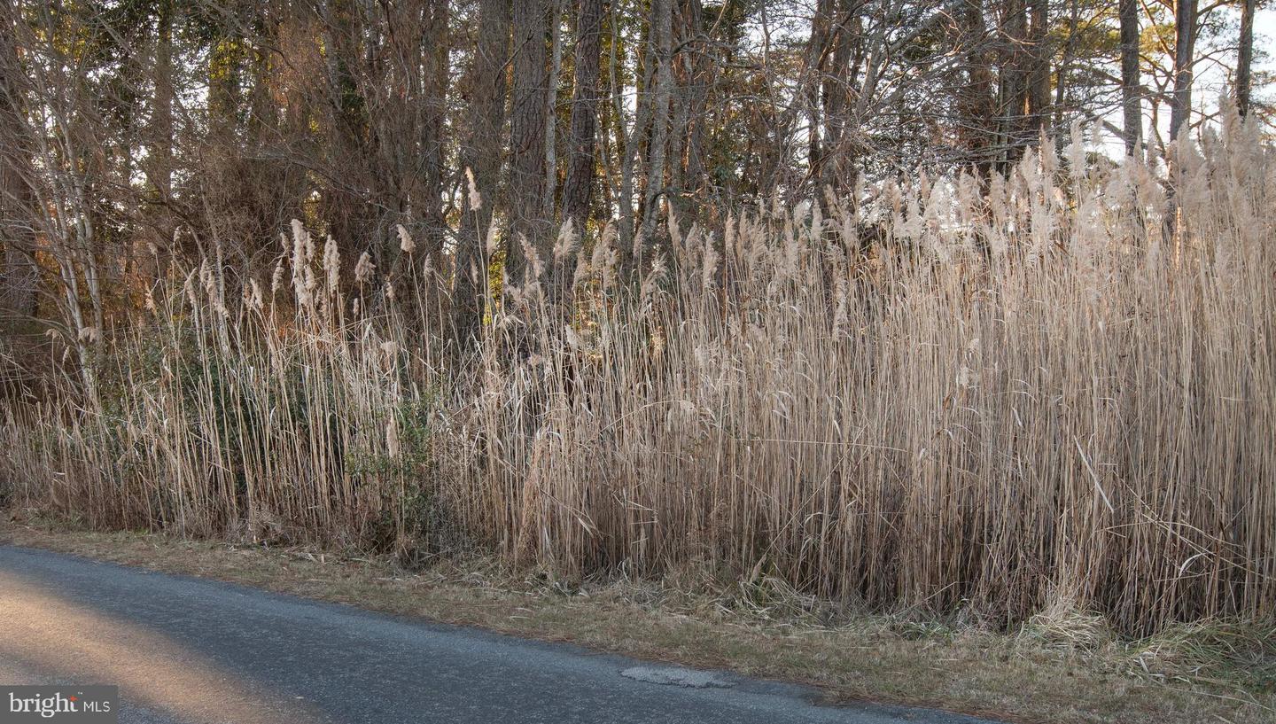 LOT 429 CAPTAINS CORR, GREENBACKVILLE, Virginia 23356, ,Land,For sale,LOT 429 CAPTAINS CORR,VAAC2002540 MLS # VAAC2002540