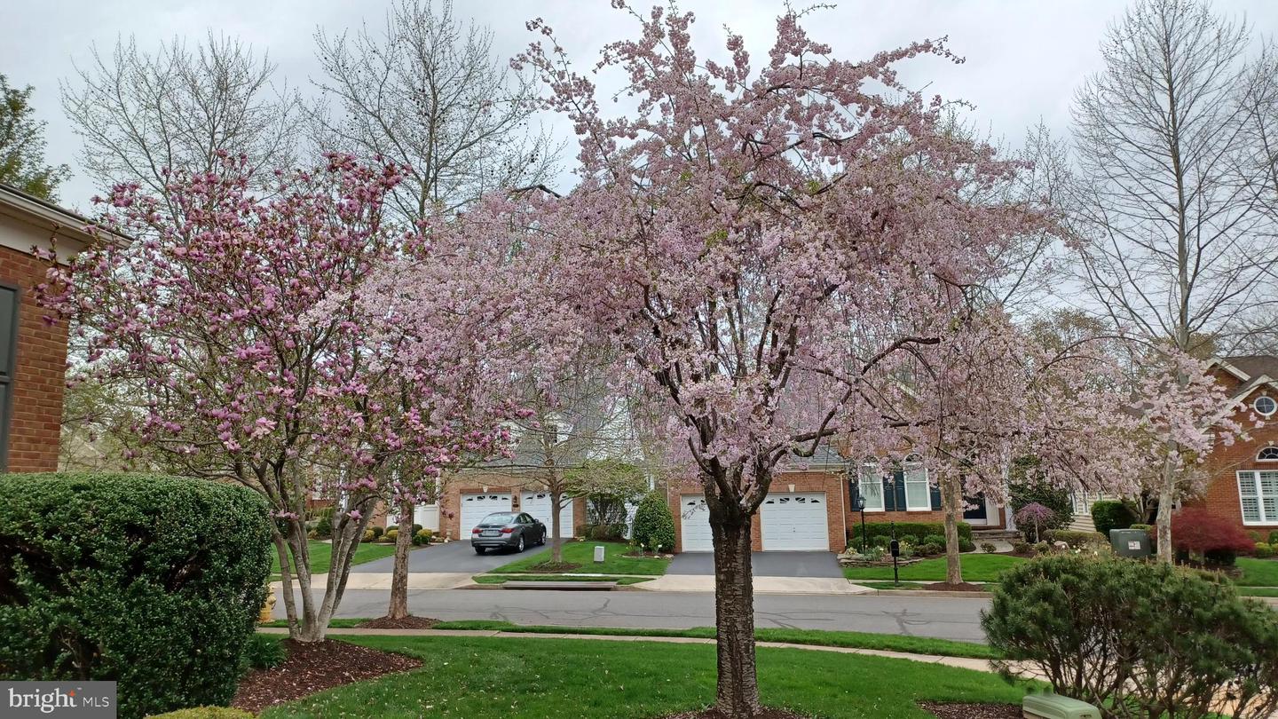 5272 ANTIOCH RIDGE DR, HAYMARKET, Virginia 20169, 3 Bedrooms Bedrooms, 16 Rooms Rooms,3 BathroomsBathrooms,Residential,For sale,5272 ANTIOCH RIDGE DR,VAPW2108576 MLS # VAPW2108576