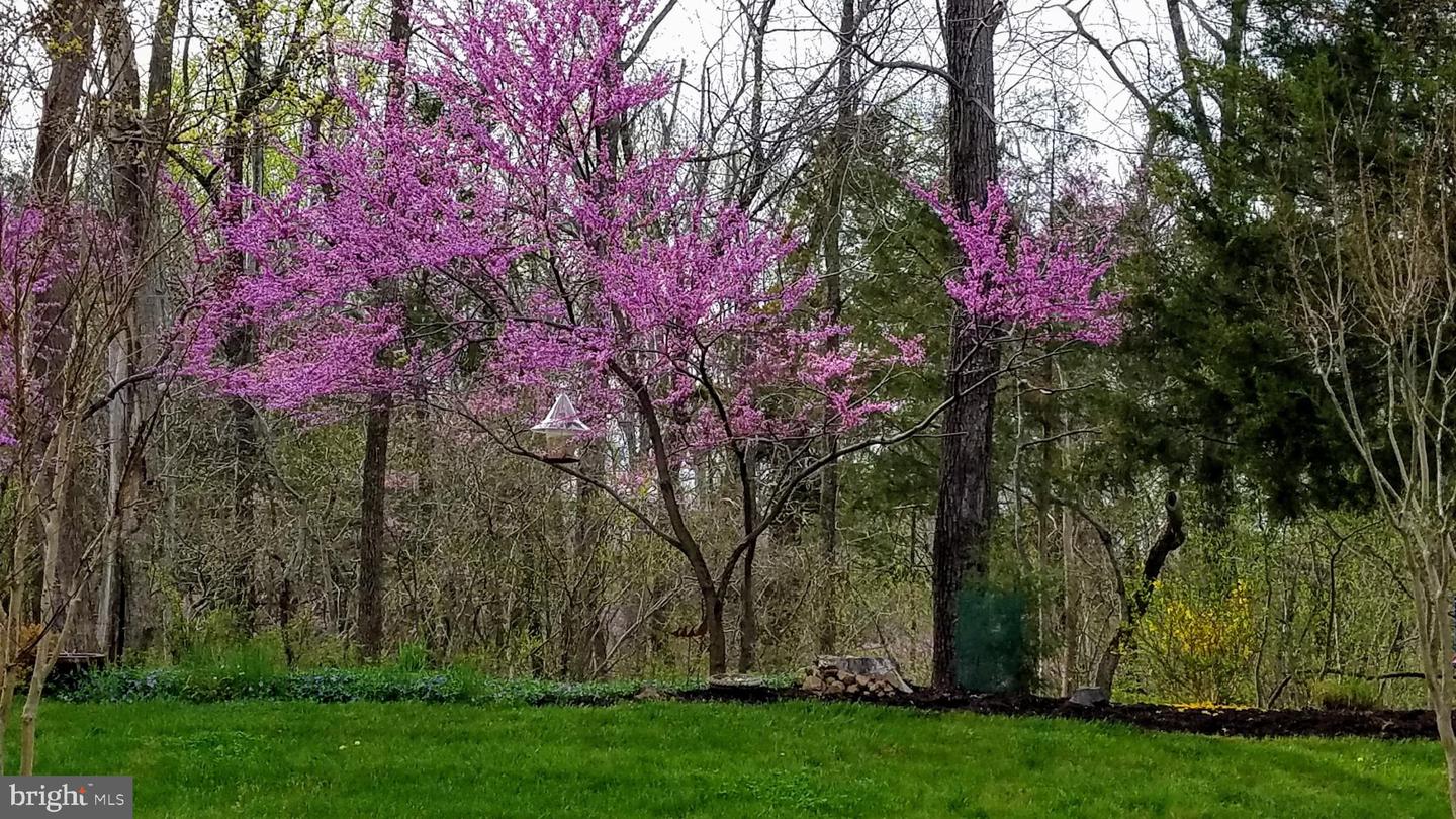 5272 ANTIOCH RIDGE DR, HAYMARKET, Virginia 20169, 3 Bedrooms Bedrooms, 16 Rooms Rooms,3 BathroomsBathrooms,Residential,For sale,5272 ANTIOCH RIDGE DR,VAPW2108576 MLS # VAPW2108576