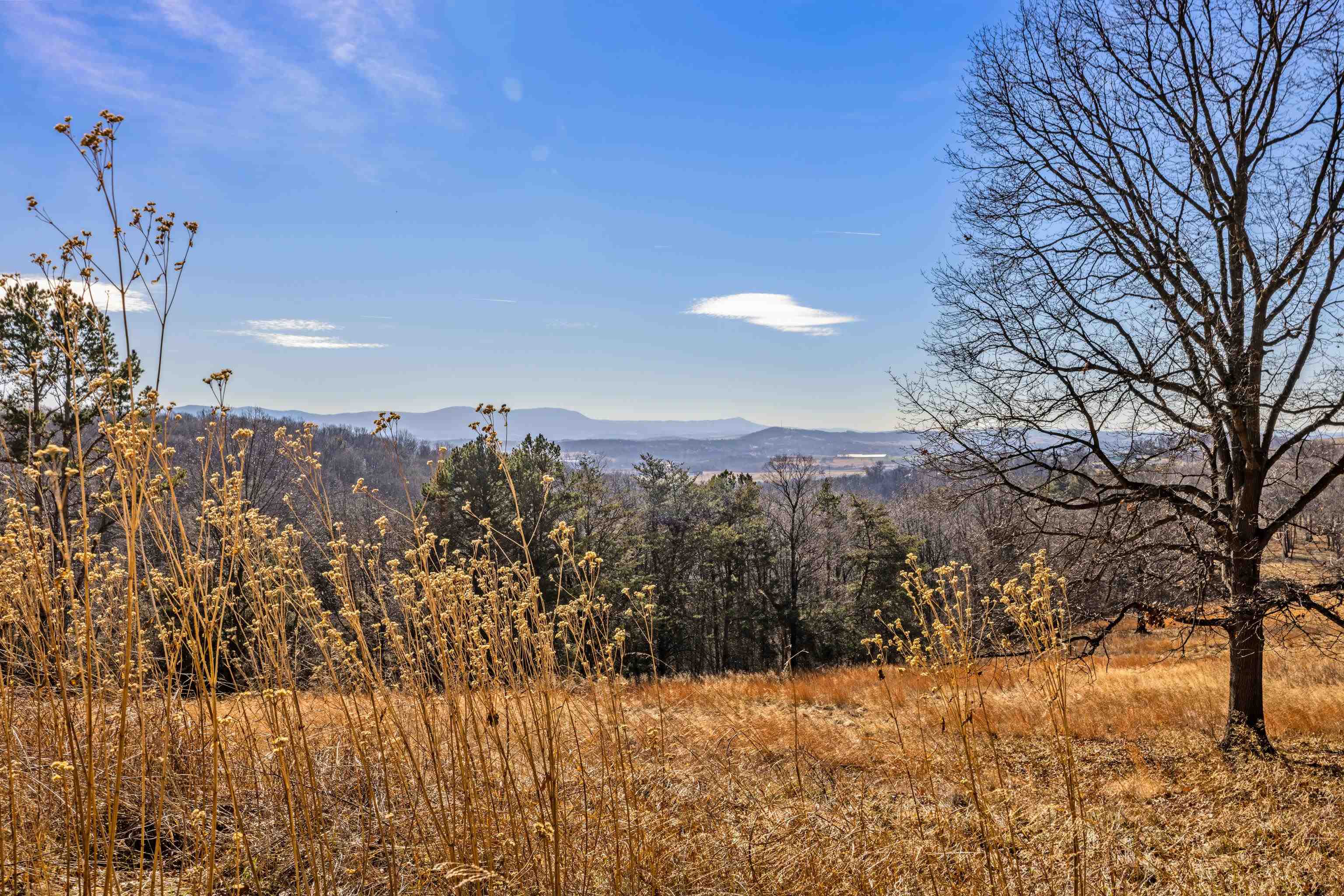 7386 APPLE RIDGE DR, TIMBERVILLE, Virginia 22853, 2 Bedrooms Bedrooms, ,1 BathroomBathrooms,Residential,7386 APPLE RIDGE DR,672547 MLS # 672547