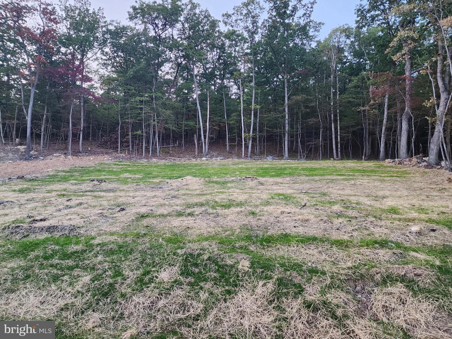 107 ARBUTIS TRL, STAR TANNERY, Virginia 22654, ,Residential,For sale,107 ARBUTIS TRL,VAFV2038704 MLS # VAFV2038704