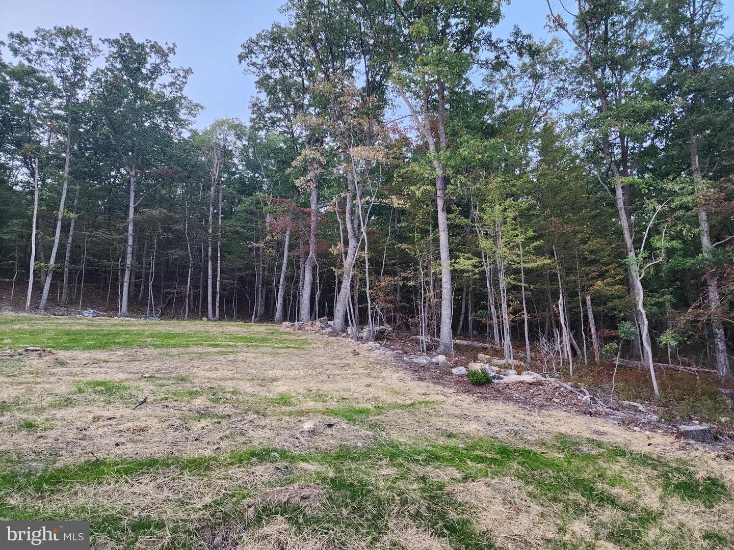 107 ARBUTIS TRL, STAR TANNERY, Virginia 22654, ,Residential,For sale,107 ARBUTIS TRL,VAFV2038704 MLS # VAFV2038704