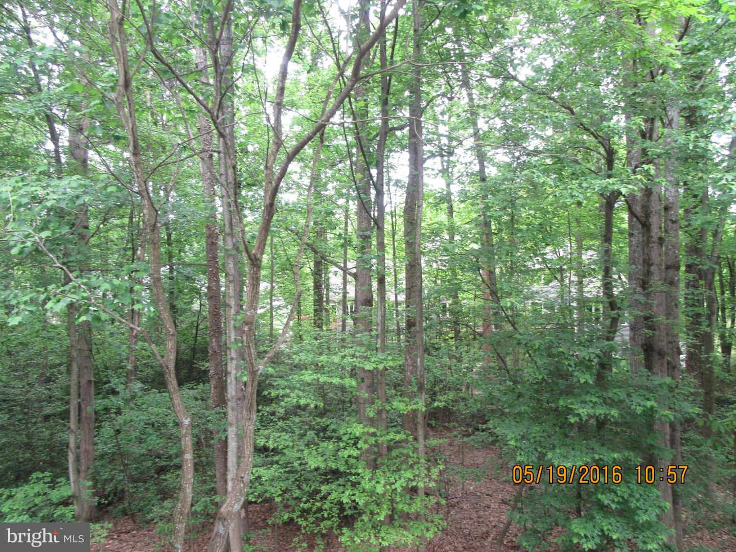 1537 CHURCH HILL PL #1537, RESTON, Virginia 20194, 2 Bedrooms Bedrooms, ,2 BathroomsBathrooms,Residential,For sale,1537 CHURCH HILL PL #1537,VAFX2284262 MLS # VAFX2284262