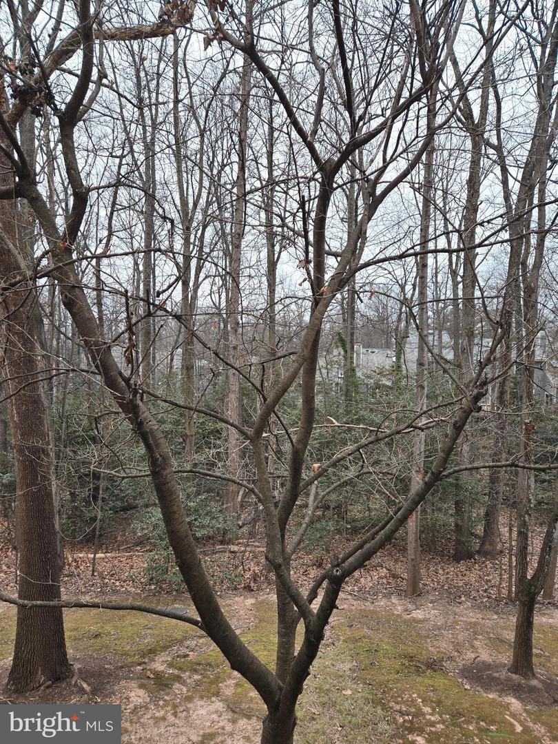 1537 CHURCH HILL PL #1537, RESTON, Virginia 20194, 2 Bedrooms Bedrooms, ,2 BathroomsBathrooms,Residential,For sale,1537 CHURCH HILL PL #1537,VAFX2284262 MLS # VAFX2284262