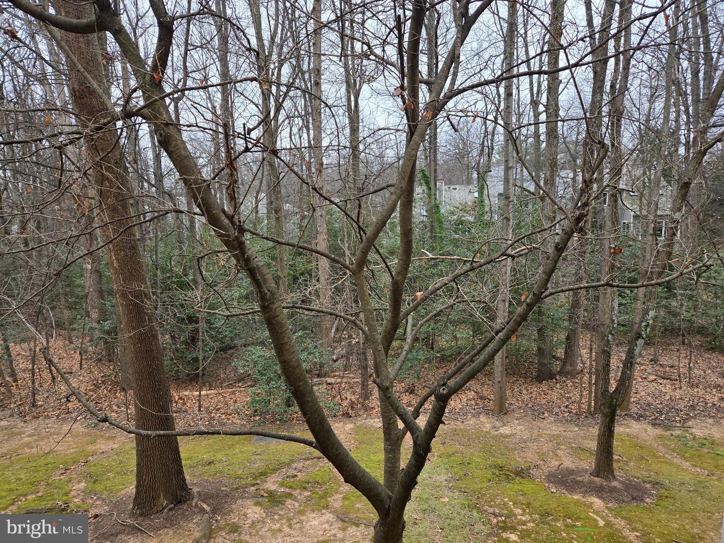 1537 CHURCH HILL PL #1537, RESTON, Virginia 20194, 2 Bedrooms Bedrooms, ,2 BathroomsBathrooms,Residential,For sale,1537 CHURCH HILL PL #1537,VAFX2284262 MLS # VAFX2284262